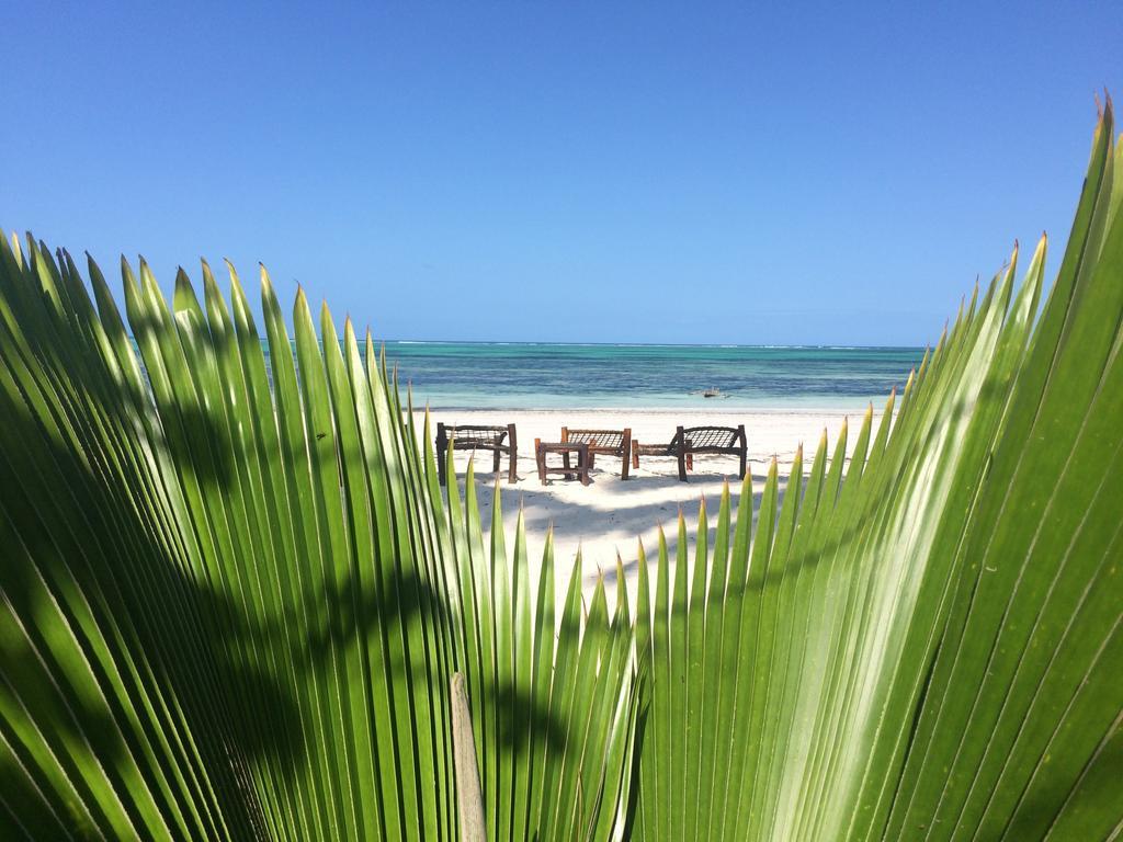 Simba Beach Zanzibar Kiwengwa  Exterior foto